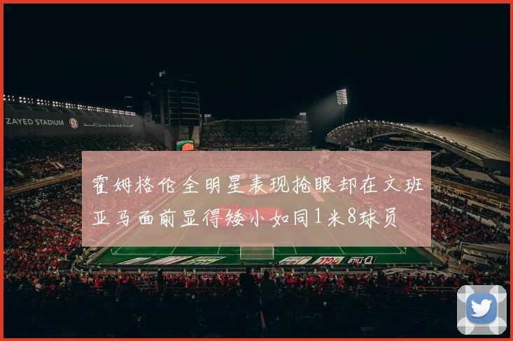 霍姆格伦全明星表现抢眼却在文班亚马面前显得矮小如同1米8球员